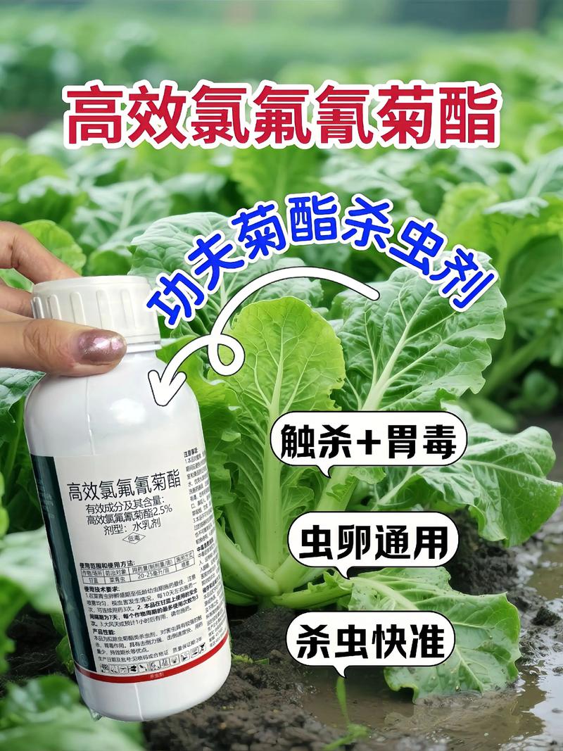 淄博代生中心:农药对供卵代生妈妈的危害